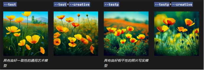 图片[21]-midjourney教程2-表哥项目库